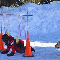 «Alors, c’est comme ça qu’on fait», semble dire le chien? photo : Carole Bouchard