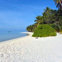 Île de Mathiveri, Ari Atoll Nord. – Photo Diane Brault