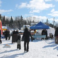 IMG_0734